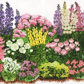 Пример рассадки на клумбе (Журнал "Цветы в саду и дома")