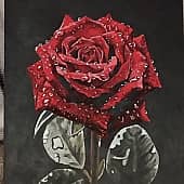 Роза после дождя