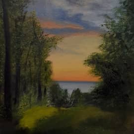 Лес на закате.