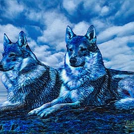 Животные 049