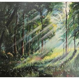 Лучи солнца.