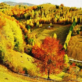 Осенние холмы.