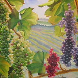 Виноградная долина