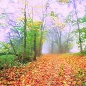 Дороги осени.