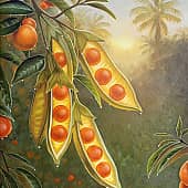 Лиза Рэй - Сад солнечных птиц 2, художник Лиза Рэй