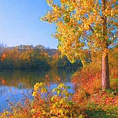 Солнечный день.