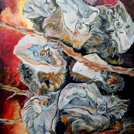 Тропические птицы на закате