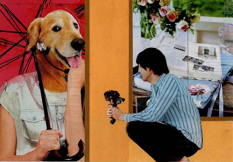 Любовь. Коллаж.