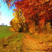 Солнечный день.