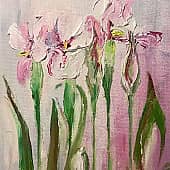 Ирисы