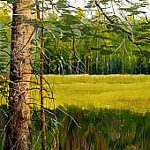 Солнечный этюд