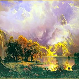 В солнечном свете.2