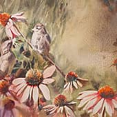 Воробушки сентябрьские