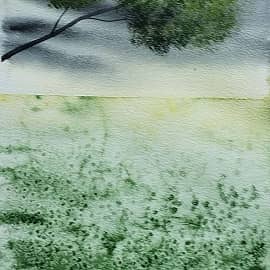 Пасмурное утро 2