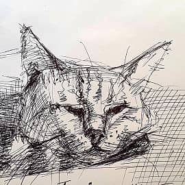 Котик Сувенир