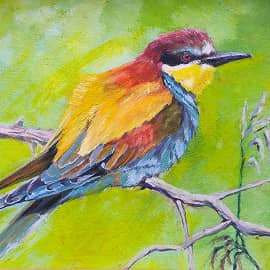 Золотистая щурка