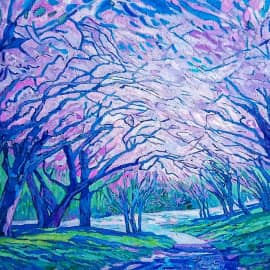 Вновь сакура цветет