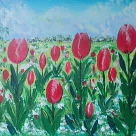 Луговые тюльпаны