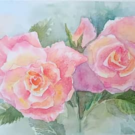 Розы под дождем