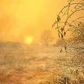 Холодный рассвет.