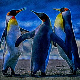 Анекдоты пингвинов