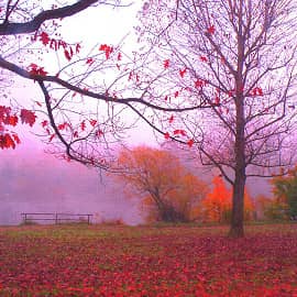 цветные туманы-5