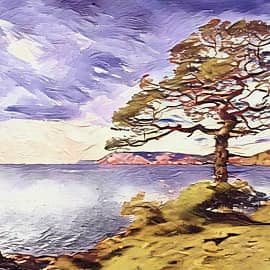 Сосна у моря.