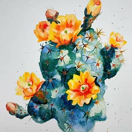 Цветущий кактус