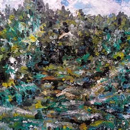 Лесные тропы