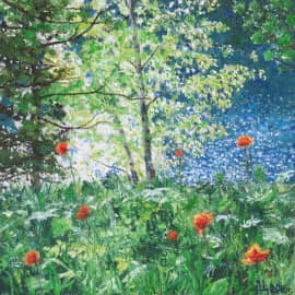 В царстве света.