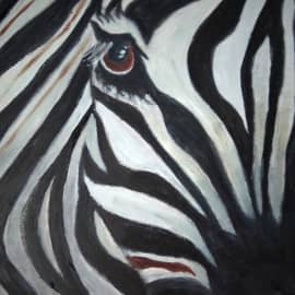 Зебра