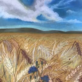 Ставропольские нивы