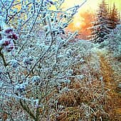 Закат зимнего дня.