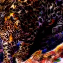 Животные 016