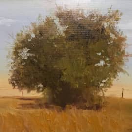 Одиночество пустоши