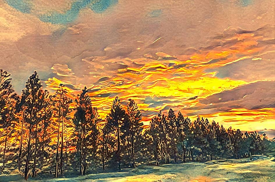 Закатный лес.