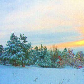 Ёлочки в снегу