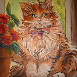 Котик на окне.