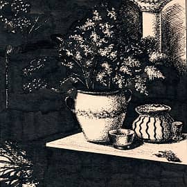 Пока не наступила ночь  Before the Night Falls