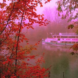 цветные туманы-2