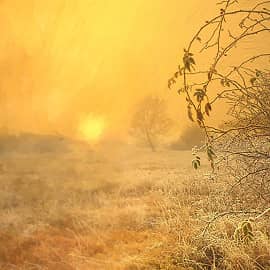 Холодный рассвет.