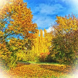 картины осени.4