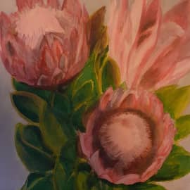 Экзотическая протея.