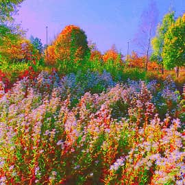 Осенние цветы.