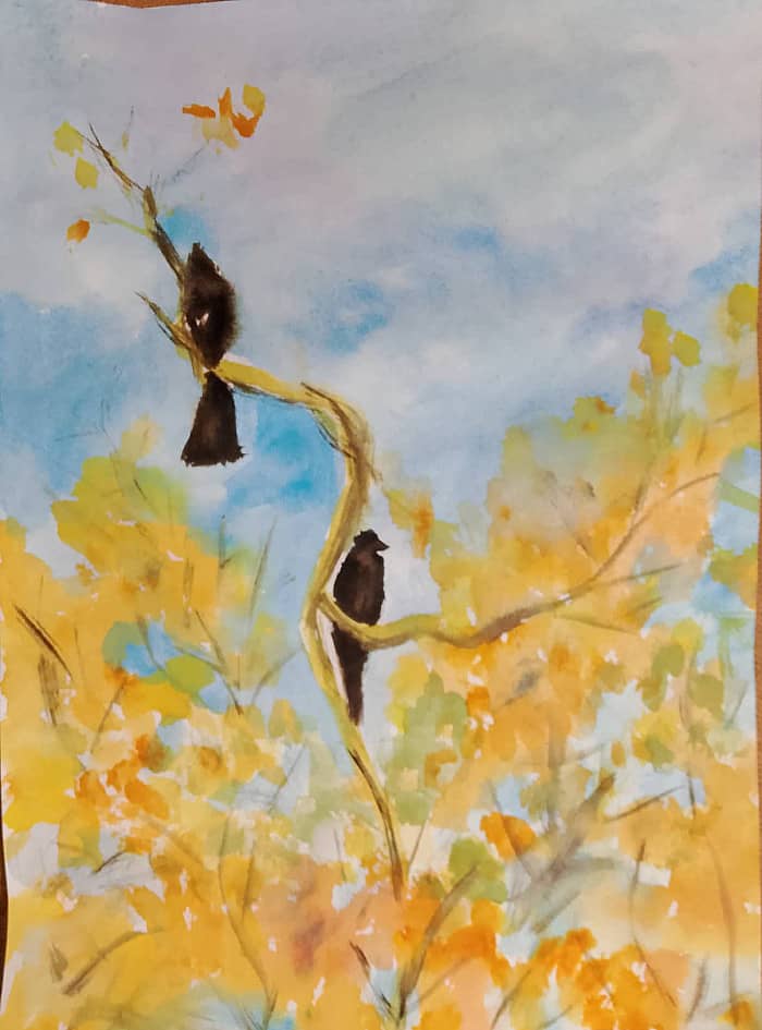 Сверху лучше