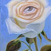 Глазастая роза