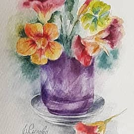 Настурция летняя