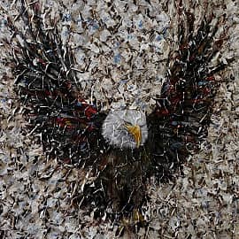 Триумфальный полёт