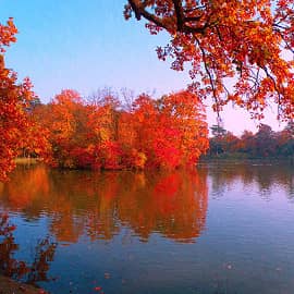 Осенний наряд.