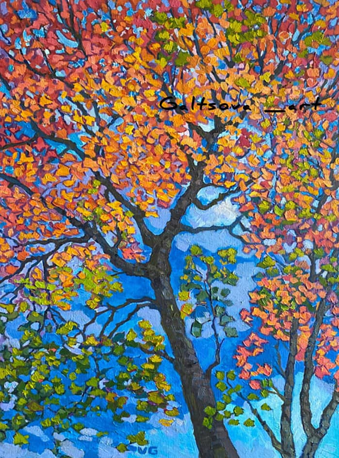 Клен расцветает осенью